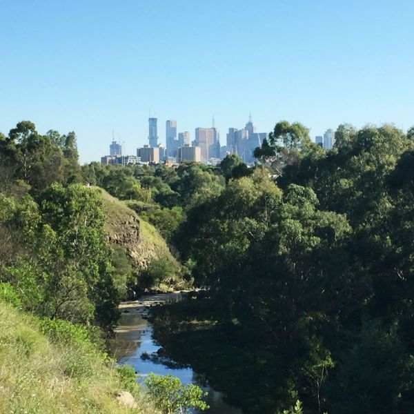 A creek shaded by trees along its banks, with Melbourne city skyline and blue sky in background