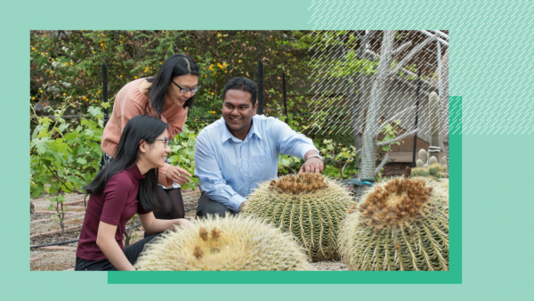Three people looking at cacti in the system garden