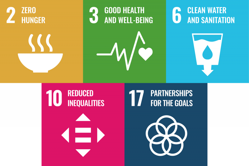Icon of SDG 2: Zero hunger, icon of SDG 3: Good health and wellbeing, icon of SDG 6: Clean water and sanitation, icon of SDG 10: Reduced inequalities and icon of SDG 17: Partnerships for the goals. 