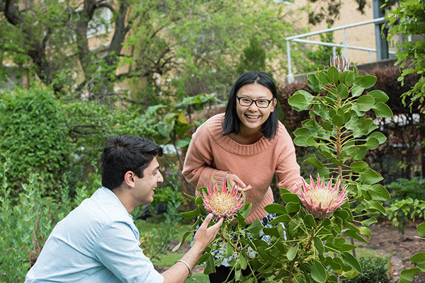 Two students standing in the System Garden admiring two large pink flowers