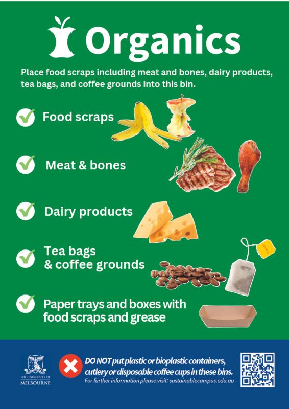A poster describing what can and cannot go in the organics bin. Food scraps, meat, bones, tea bags, coffee grounds, dairy products and paper trays/boxes with food scraps and grease can go in. Plastic or bioplastic containers and cutlery and disposable coffee cups cannot be put in the organics bin.