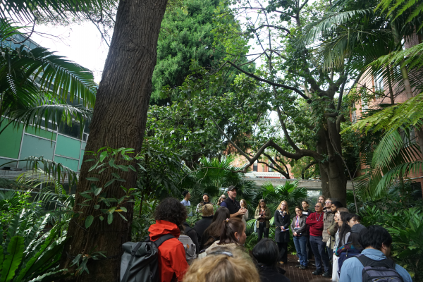 A wide shot of a rainforest in between buildings. There is a group of people gathered to listen to a man speak in the centre of the group.