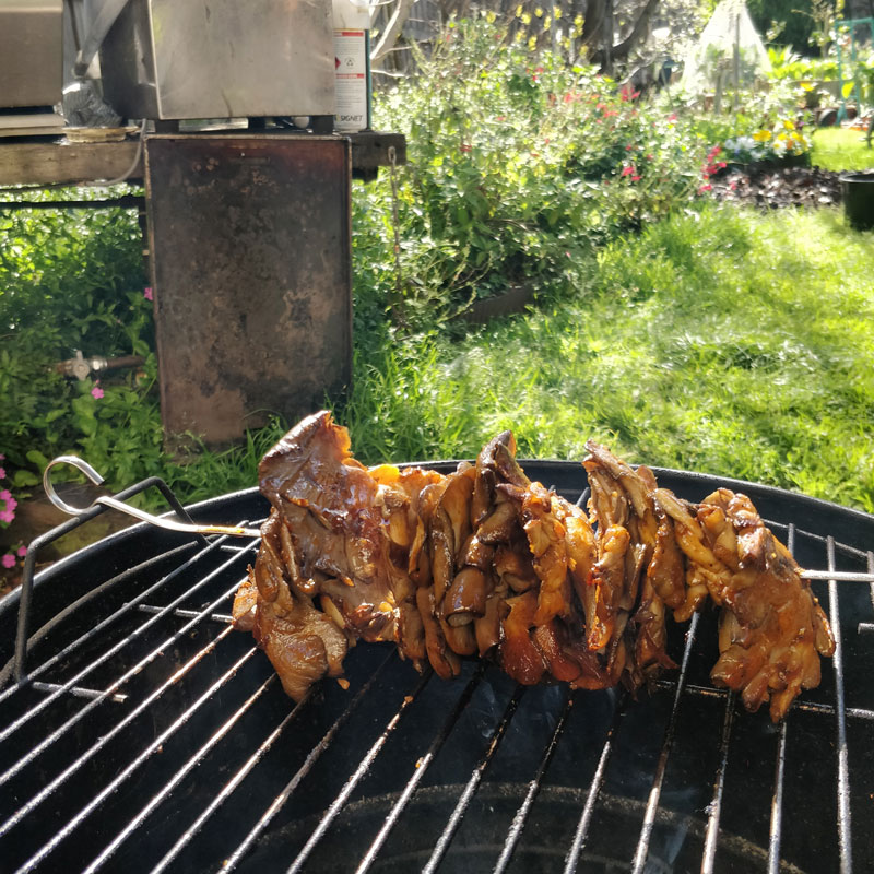 A skewer of glistening mushroom pieces cooking on a round barbeque with an overgrown garden in the background