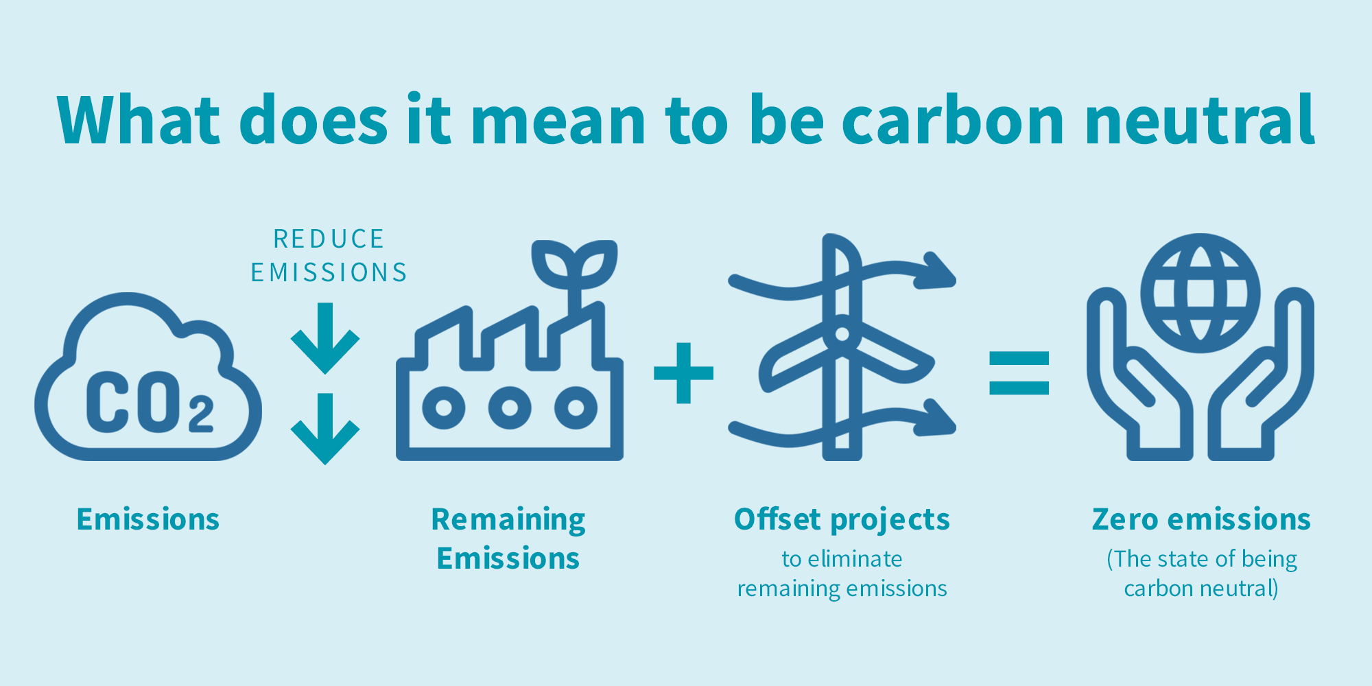The process of carbon neutrality