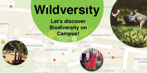 Image for Campus Biodiversity Tour