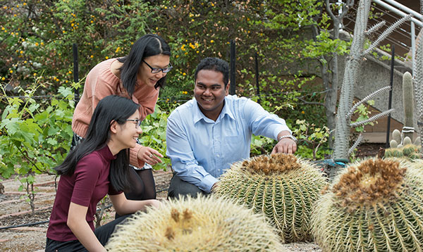 Three students pictured sitting down admiring a spherical cactus in the System Garden
