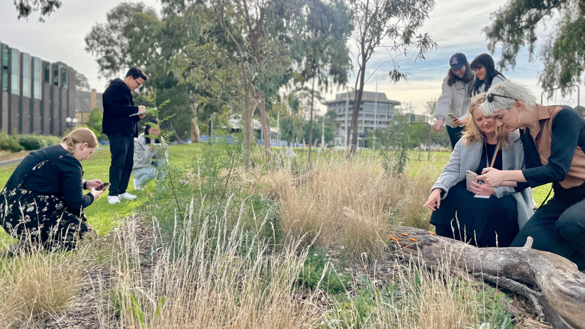 BioBlitz with staff and volunteers