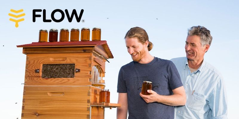 Image for Keeping bees with a Flow Hive: a journey from innovation to commercial success