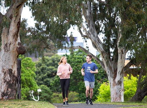 Two people pictured running along a path under large River Red Gum trees.