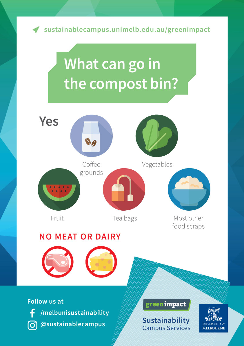 What can go in the compost bin