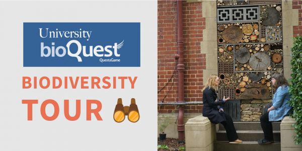 Text reads: ‘University BioQuest: Biodiversity Tour’ next to a photo of two women sitting on steps in front of a wall filled with tree trunks and bricks (an insect hotel).